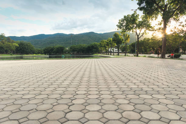 Best Local Driveway Pavers  in Exeter, PA